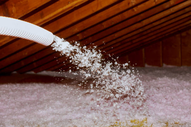 Best Local Insulation Services  in Georgetown, PA