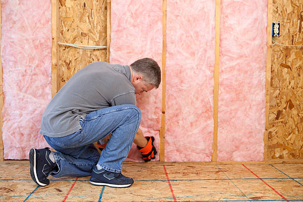 Best Local Insulation Services  in Georgetown, PA