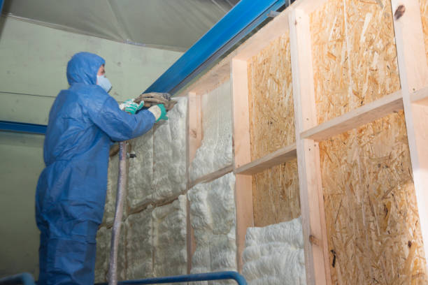 Best Insulation Replacement Services  in Georgetown, PA