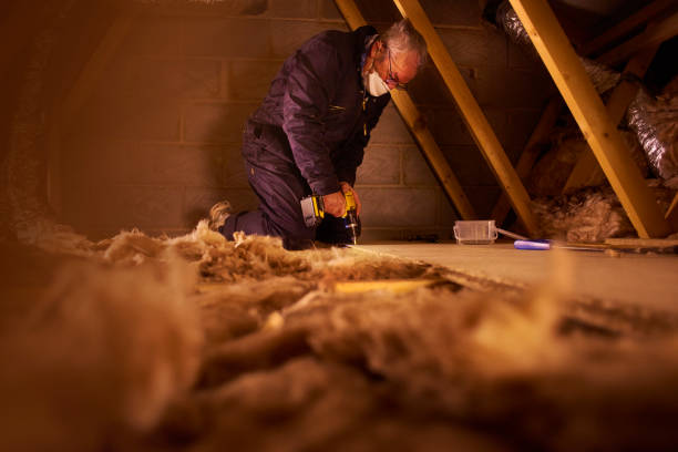 Best Insulation Removal  in Georgetown, PA